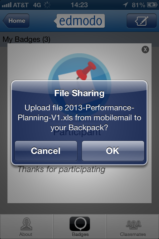 iPhone Screenshot 1